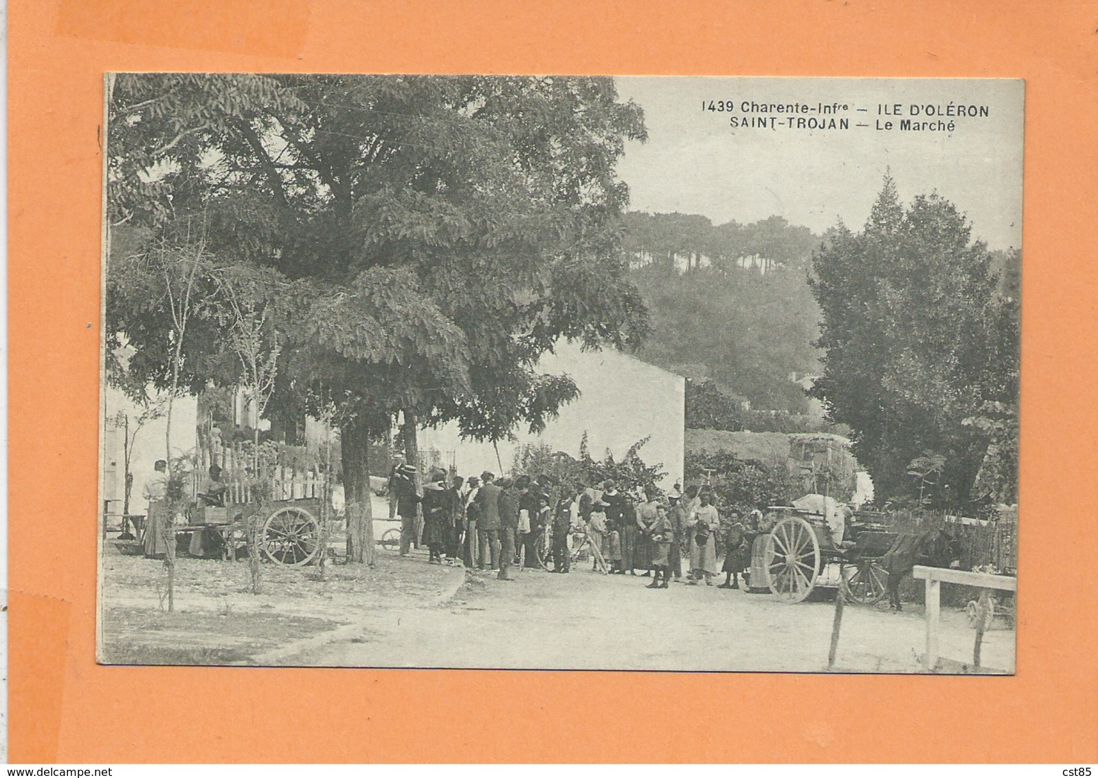 CPA -  Ile D'Oléron ST SAINT TROJAN - Le Marché - Ile D'Oléron