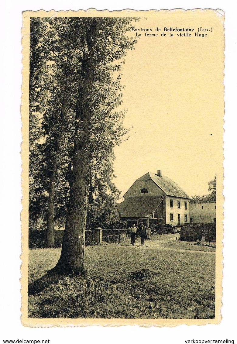 BELLEFONTANE La Ferme De La Vieille Hage - Tintigny