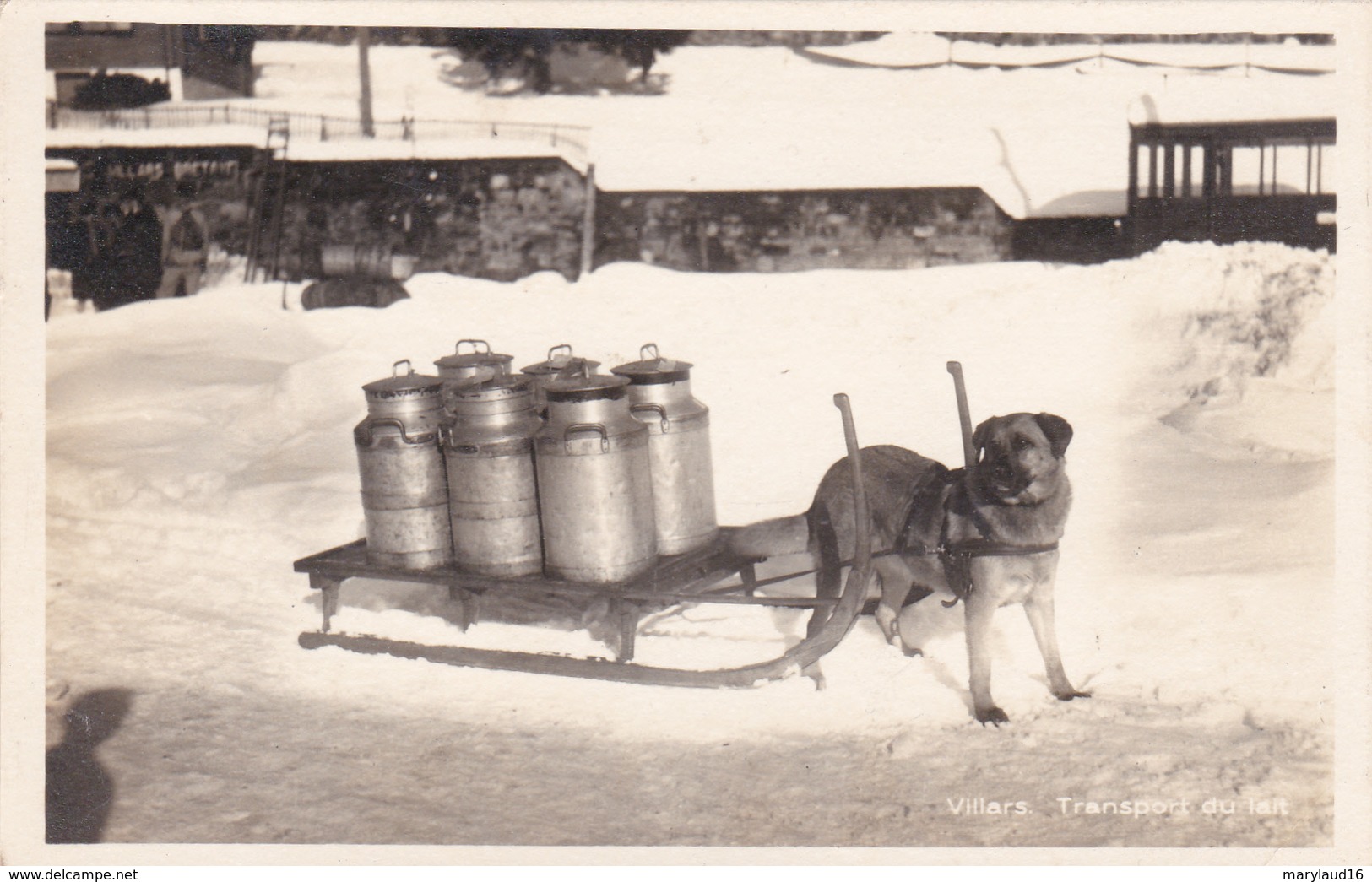 Villars - Transport Du Lait - Otros & Sin Clasificación