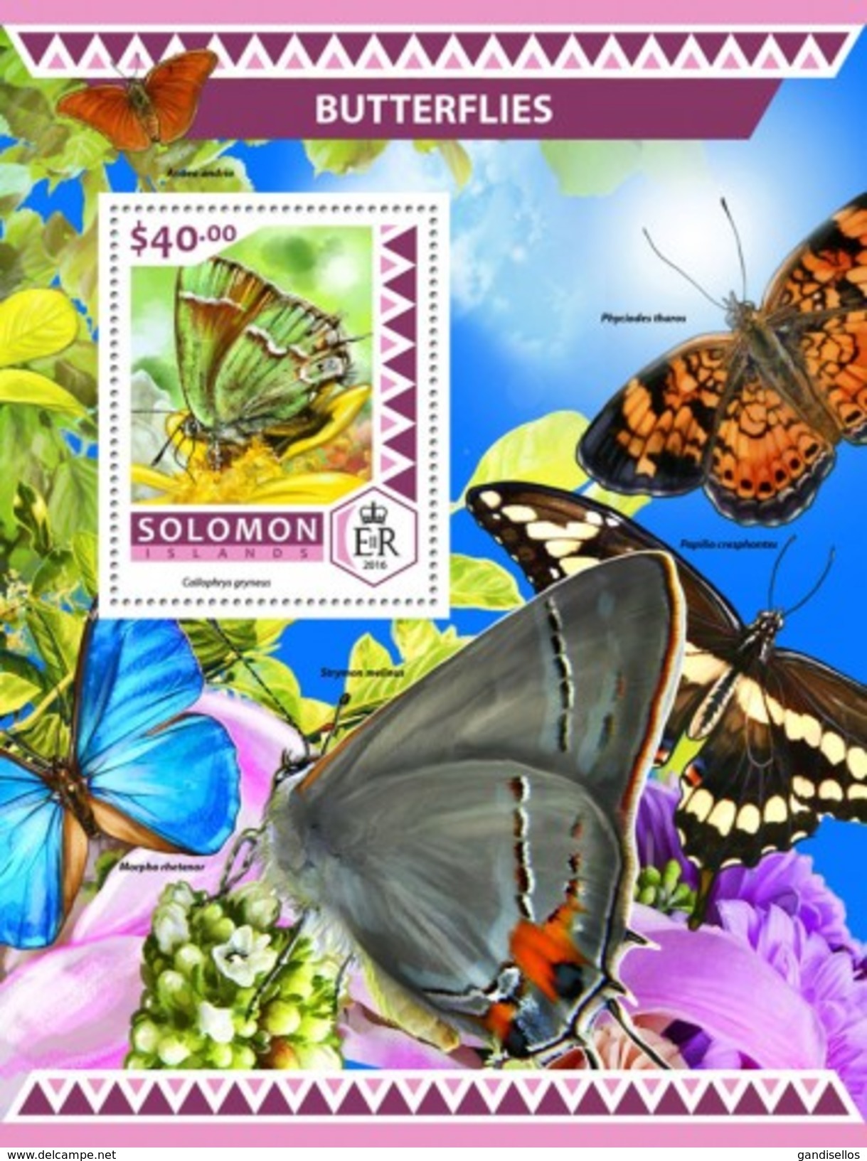 SOLOMON ISLANDS 2016 SHEET BUTTERFLIES PAPILLONS BORBOLETAS FARFALLE SCHMETTERLINGEN MARIPOSAS INSECTS Slm16501b - Salomon (Iles 1978-...)