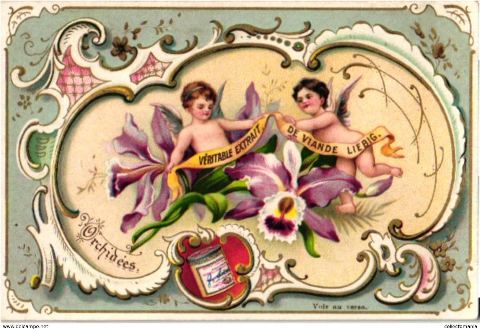 0475-  Liebig 6 Cards--C1896-Flowers & Cherubs-Engeltjes-Anges-Orchidee-Rose-Clematis-Camelia-Azalea-Anemoon- - Liebig