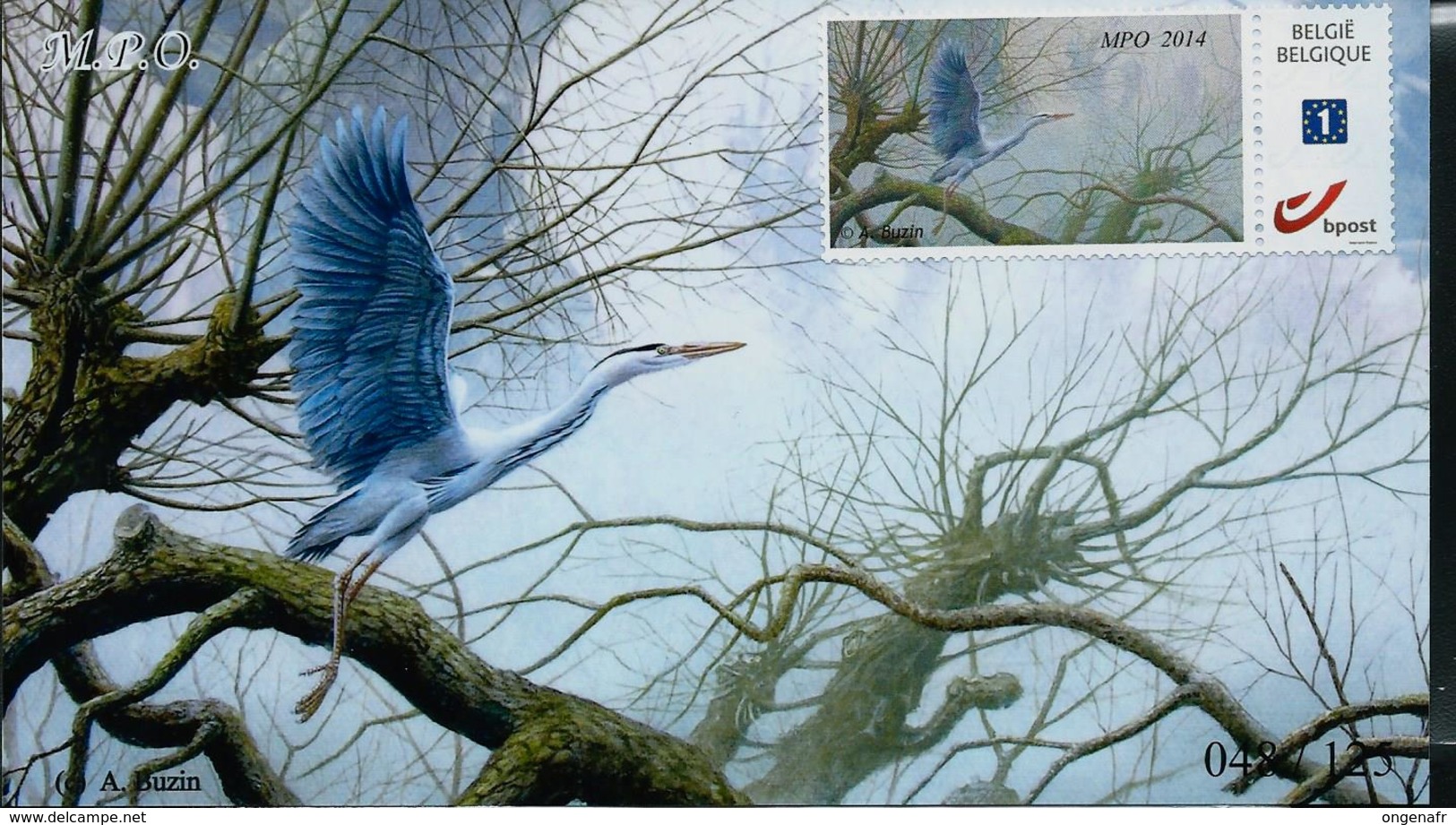 Carte Photo  Avec Duostamp Collé Pas Obl. - 1985-.. Oiseaux (Buzin)