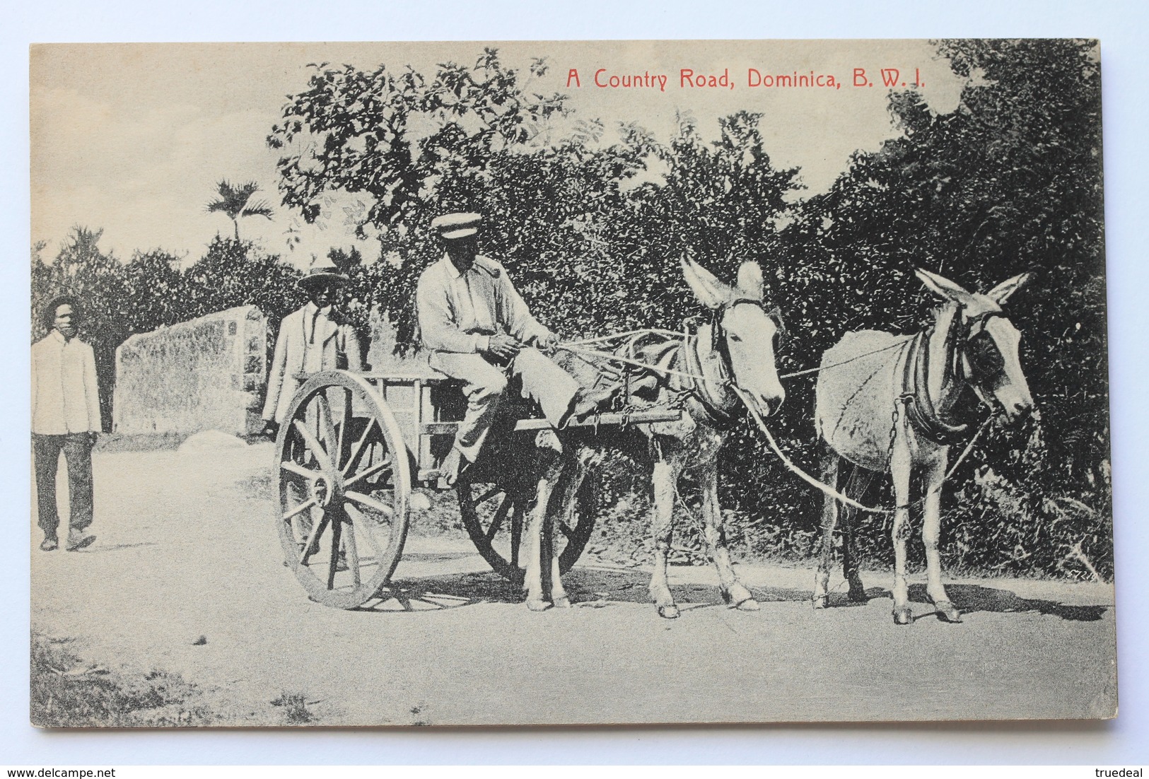 A Country Road, Dominica, B.W.I. - Dominique