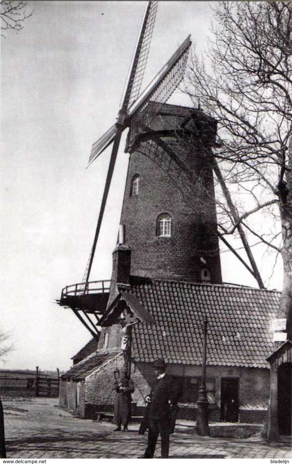 TIELT (W.Vl.) - Molen/moulin - Zeldzame Opname Van Molen Loncke Tijdens De Eerste Wereldoorlog (nu Nog Ingekorte Romp) - Tielt