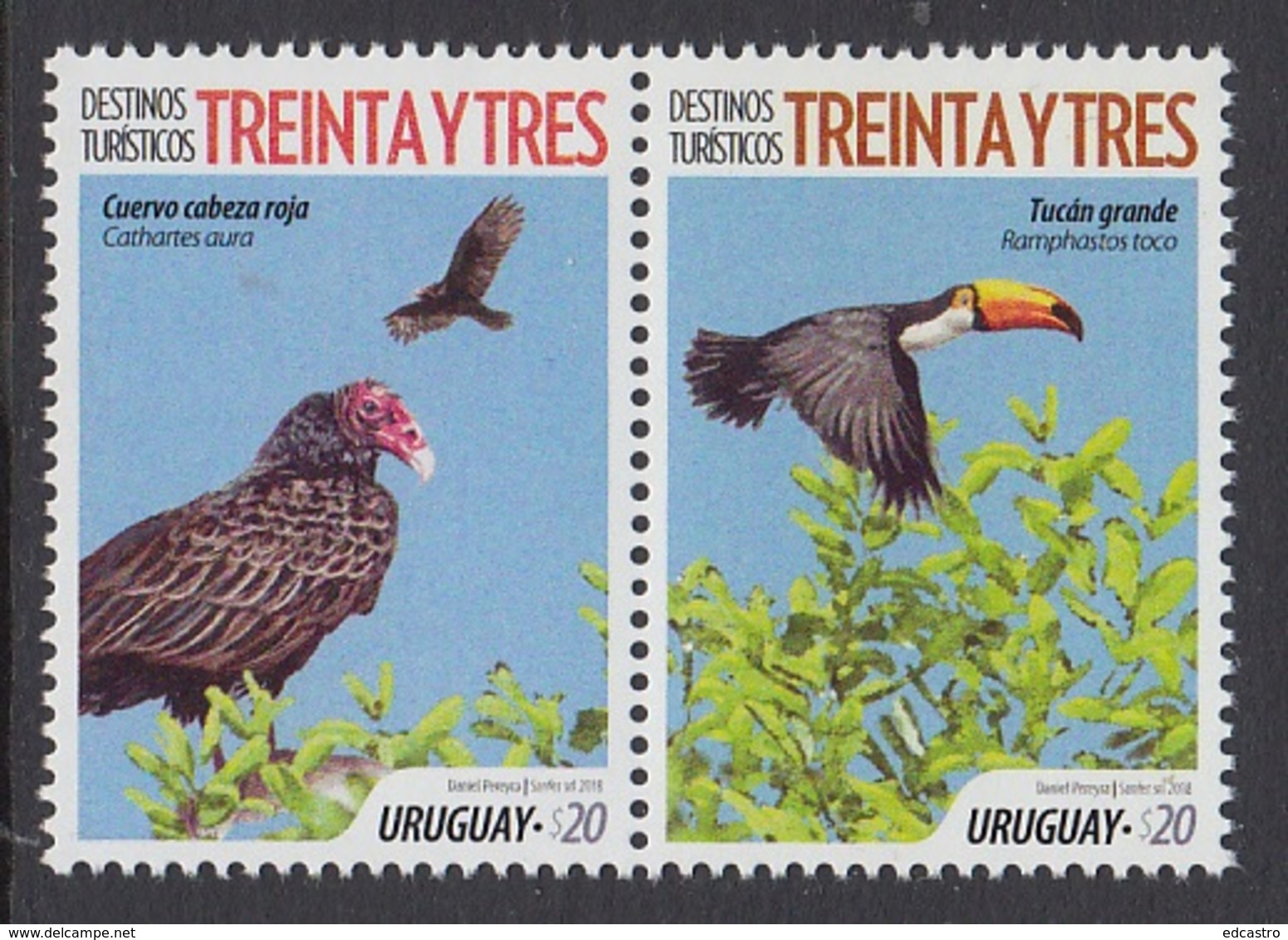8.- URUGUAY 2018 TURISTICS SITES BIRDS - Uruguay