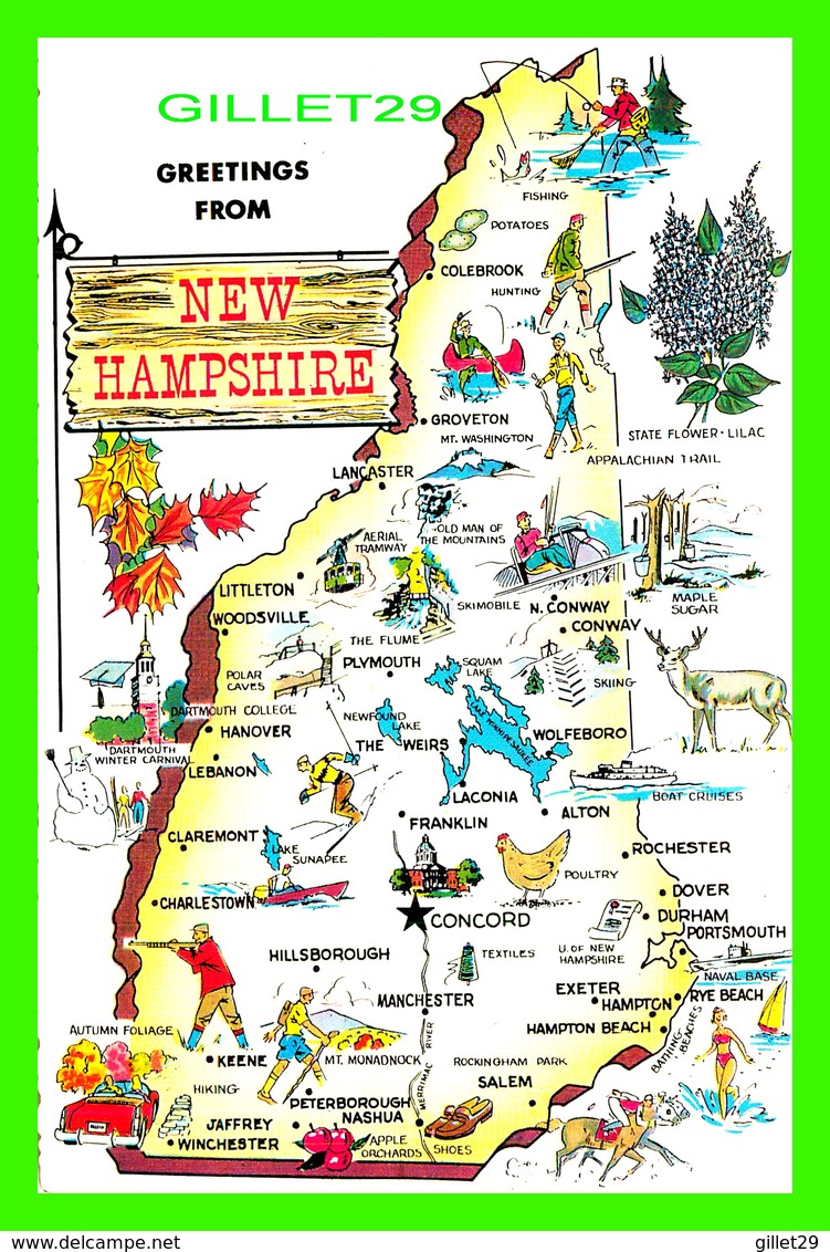 MAPS, CARTES GÉOGRAPHIQUES - NICKNAME,GRANITE STATE - THE WILLIAM SHEEHAN CO - - Cartes Géographiques