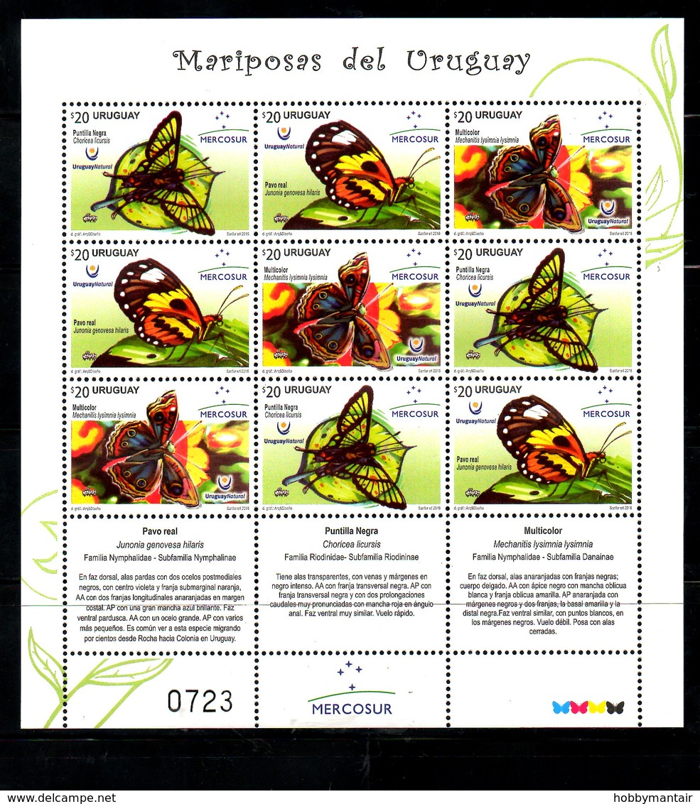 URUGUAY, 2016,BUTTERFLIES,S/S. MNH** - Other & Unclassified