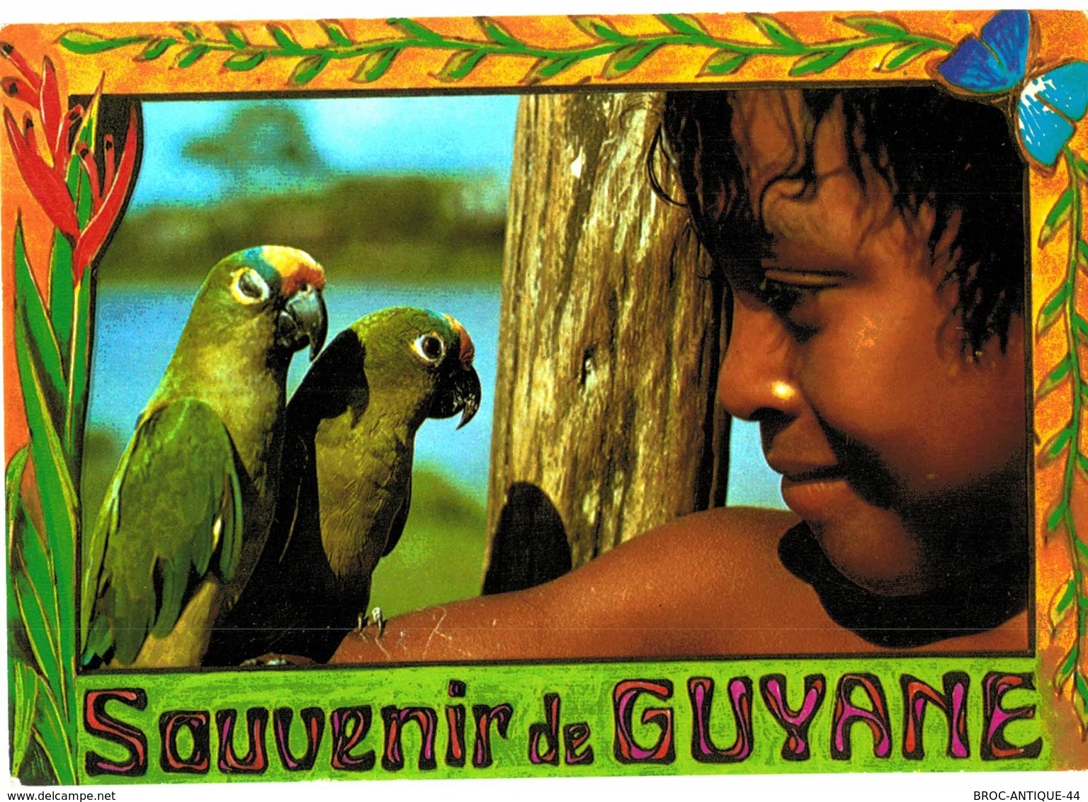 LOT N°816 - LOT DE + 30 CARTES DE GUYANE