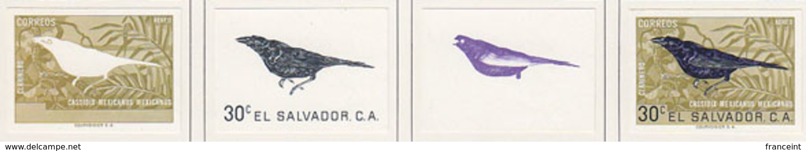 EL SALVADOR (1963) Great-tailed Grackle (Clarinero). Set Of 4 Imperforate Progressive Proofs. Scott No C204, Yvert PA185 - Salvador