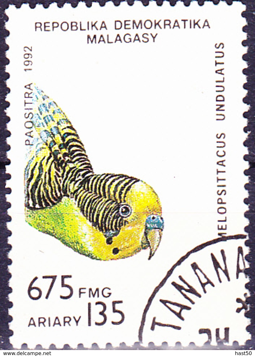 Madagaskar - Wellensittich (Melopsittacus Undulatus) (Mi.Nr.: 1427) 1993 - Gest Used Obl - Madagascar (1960-...)