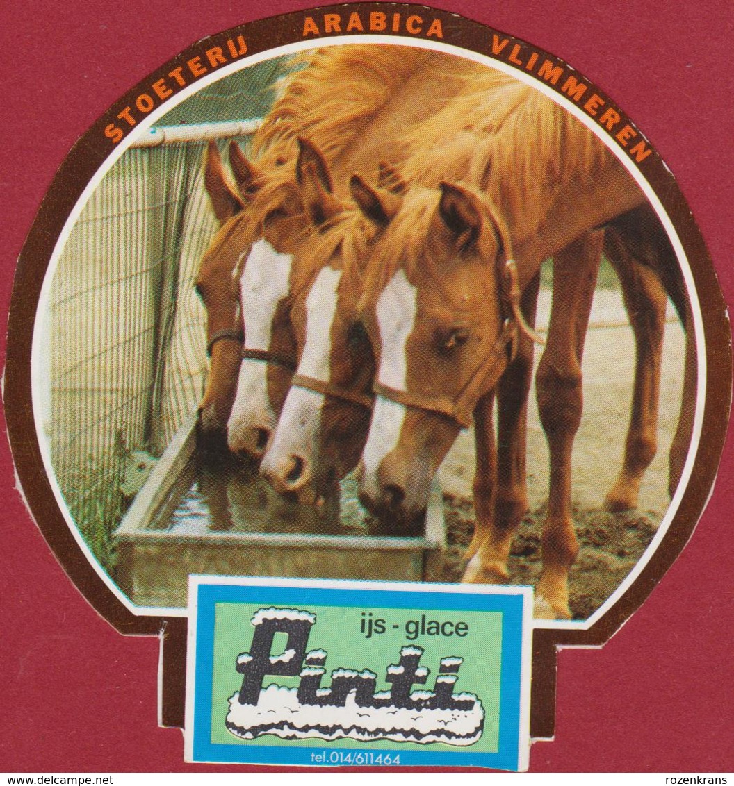 Sticker Autocollant Stoeterij Arabica Vlimmeren Kempen Horse Paard Cheval Pferd Aufkleber Adesivo Kempen Pinti Beerse - Autocollants