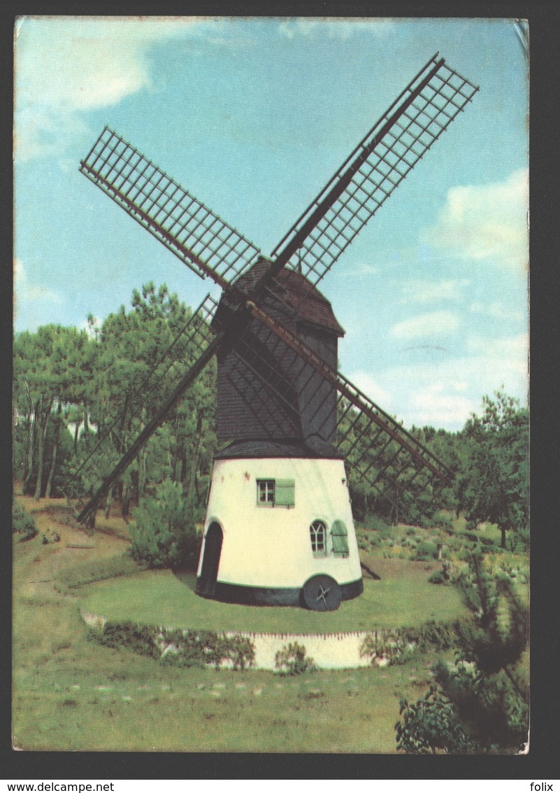 Knokke / Knokke-Zoute - Oude Molen - Moulin / Mill - Knokke