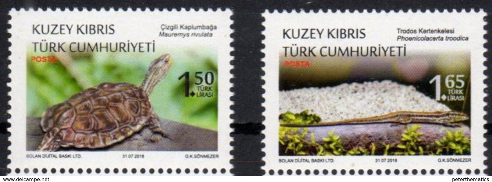 TURKISH CYPRUS, 2018, MNH, REPTILES, LIZARDS, TURTLES, 2v - Schildkröten