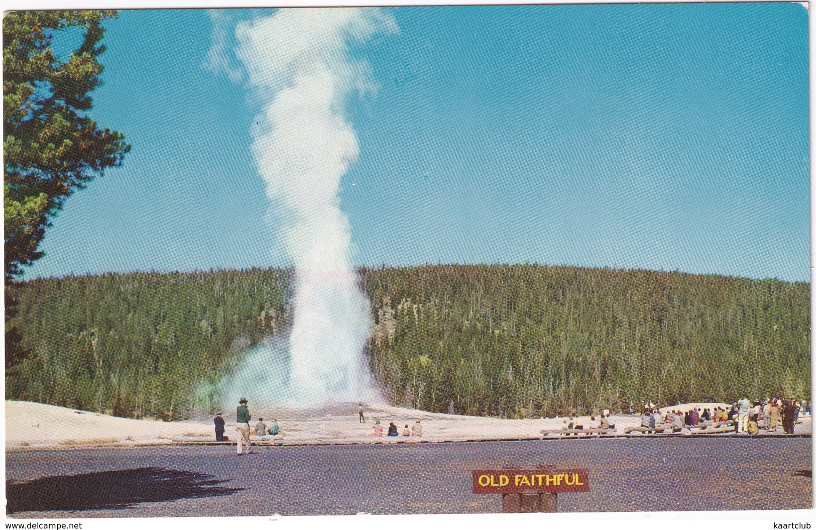 Old Faithful Geyser - Yellowstone National Park  - (USA) - USA National Parks