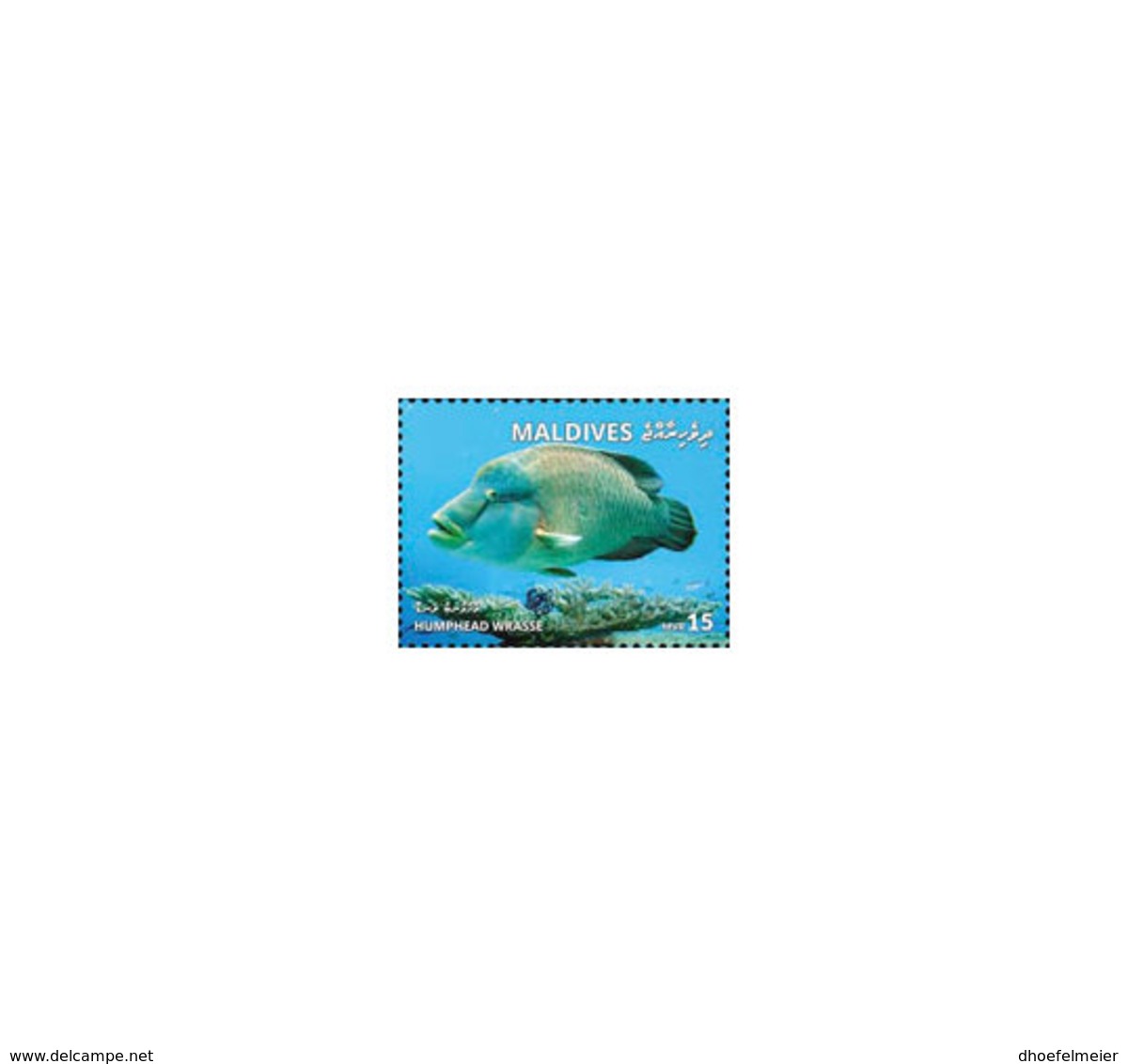 MALDIVES 2018 MNH Humphead Wrasse 1v - OFFICIAL ISSUE - DH1902 - Maldives (1965-...)