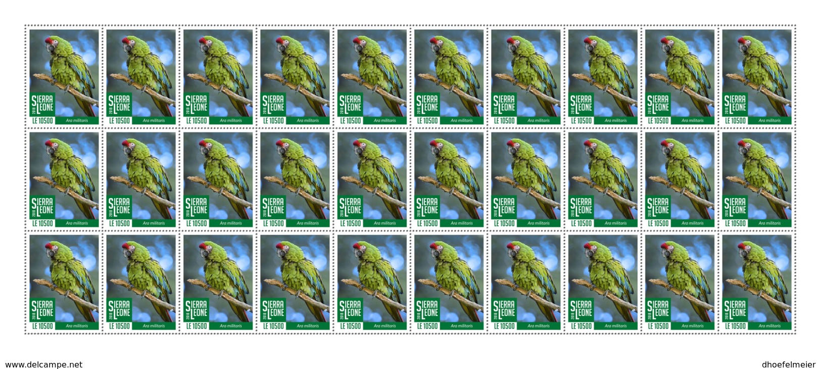 SIERRA LEONE 2018 MNH Green Parrot 30v - OFFICIAL ISSUE - DH1902 - Sierra Leone (1961-...)