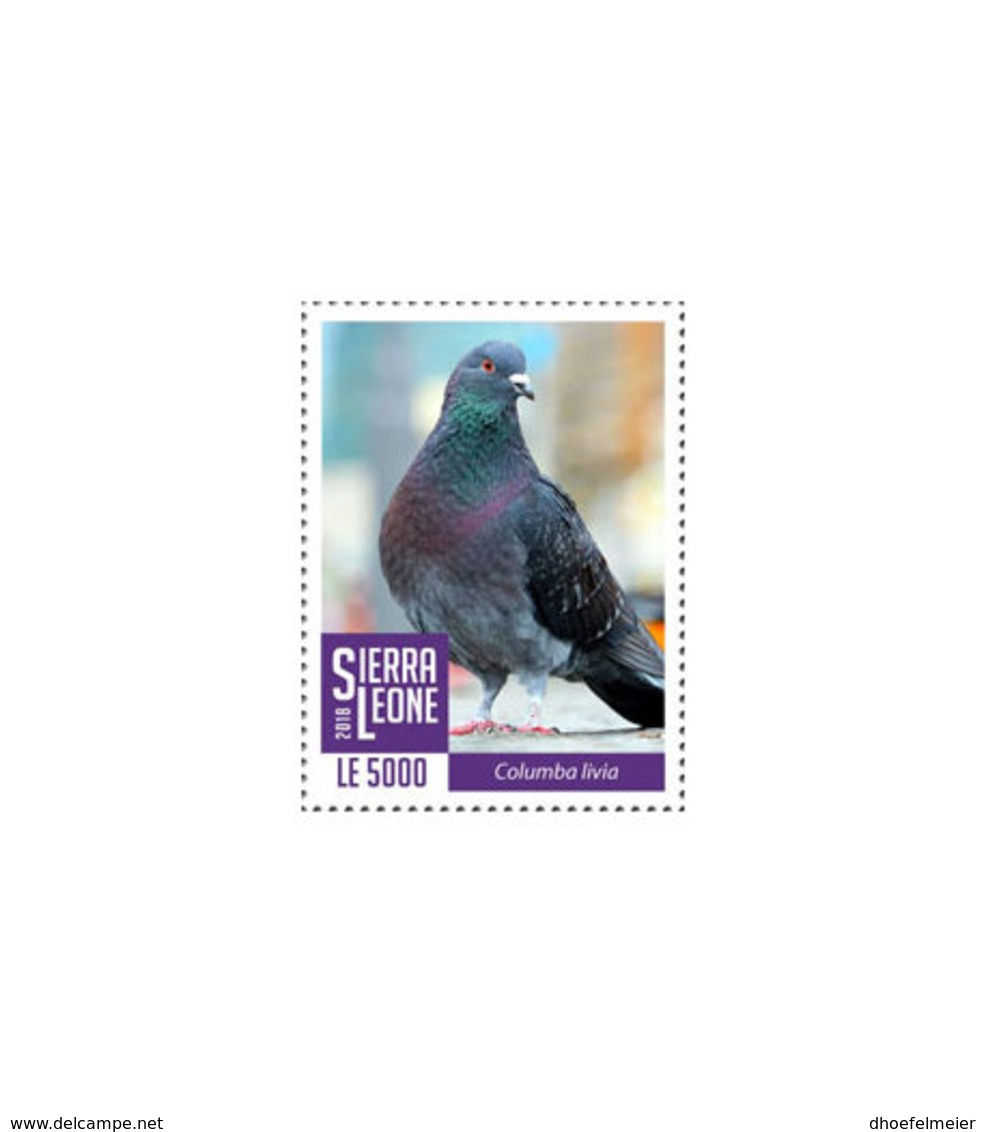 SIERRA LEONE 2018 MNH Blue Pigeon 1v - OFFICIAL ISSUE - DH1902 - Sierra Leone (1961-...)