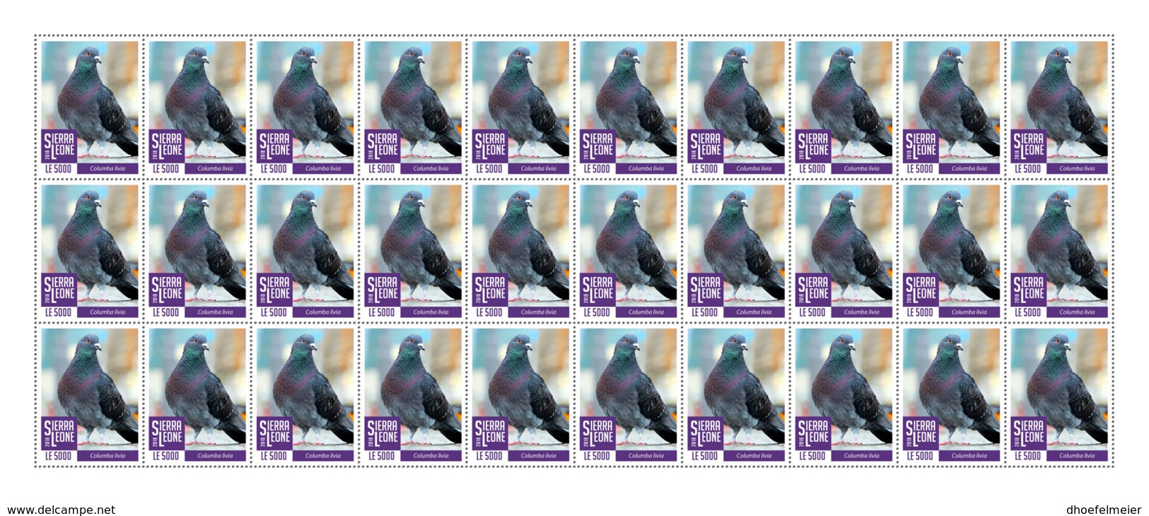 SIERRA LEONE 2018 MNH Blue Pigeon 30v - OFFICIAL ISSUE - DH1902 - Sierra Leone (1961-...)