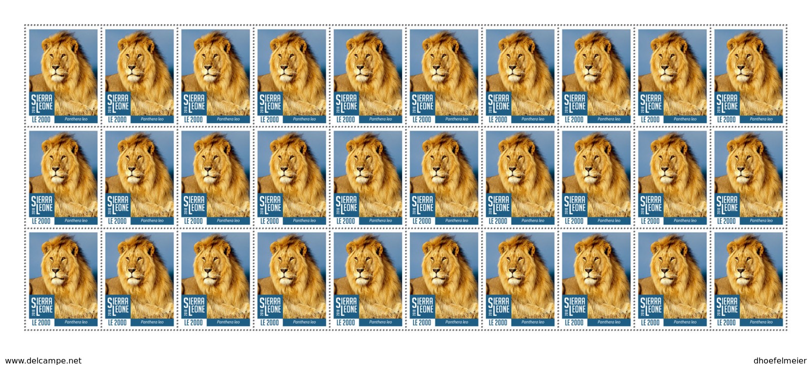 SIERRA LEONE 2018 MNH Lions II 30v - OFFICIAL ISSUE - DH1902 - Sierra Leone (1961-...)