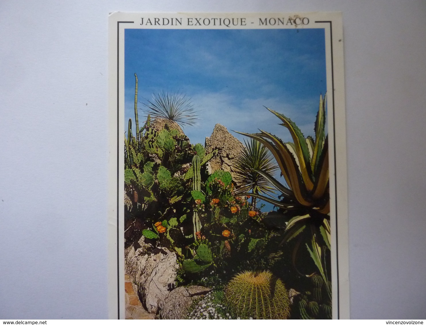 Cartolina Viaggiata "JARDIN EXOTIQUE MONACO" 1998 - Giardino Esotico