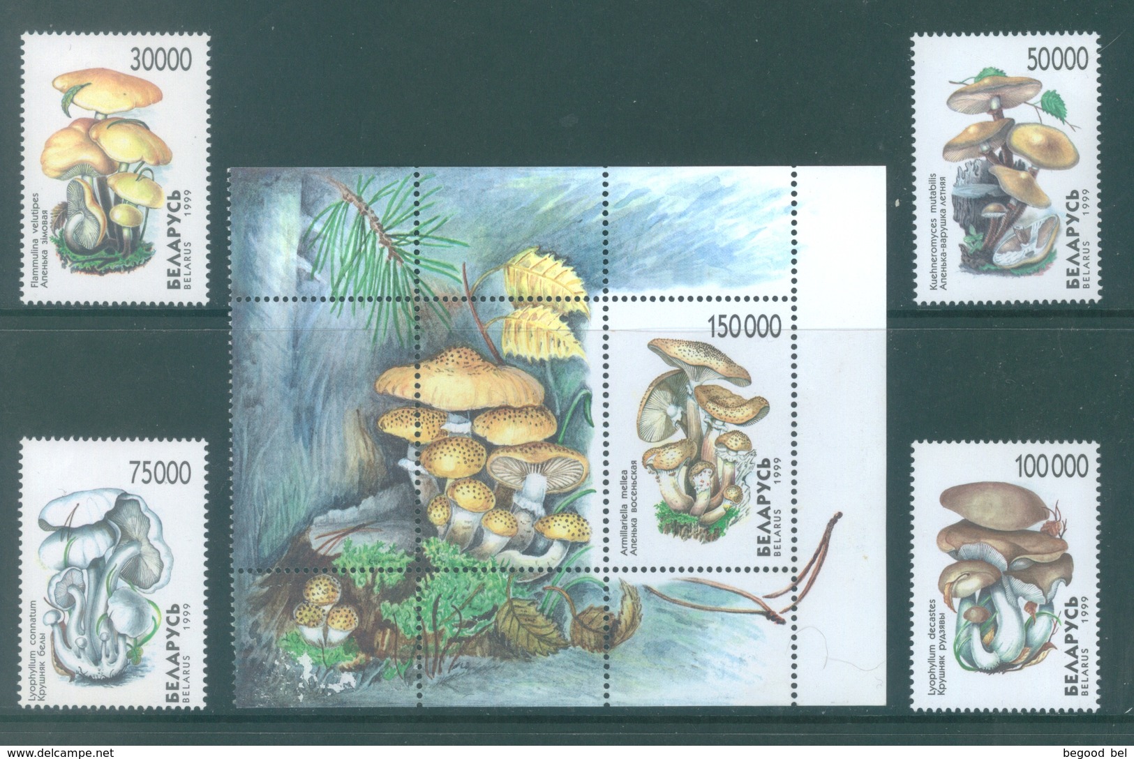 BELARUS  - 1999 -  MNH/** - MUSHROOMS - Yv 312-315 BLOC 22A - Lot 18898 - Belarus