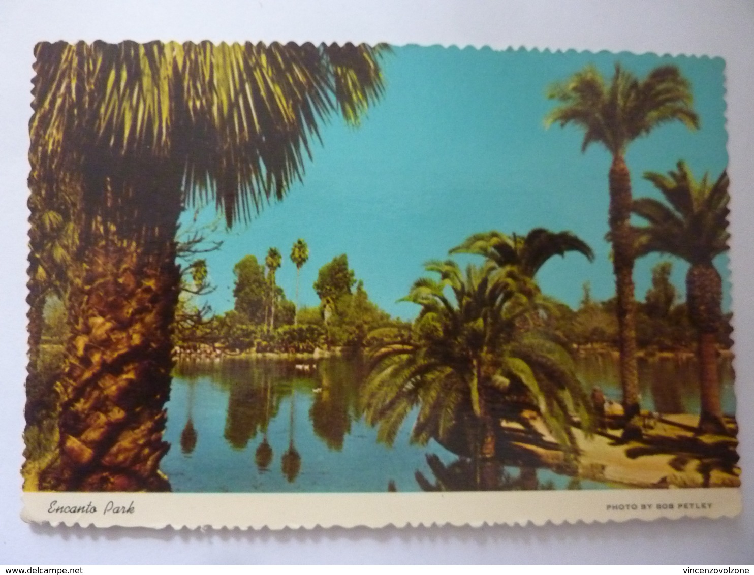 Cartolina Viaggiata "ENCANTO PARK PHOENIX" 1974 - Phoenix