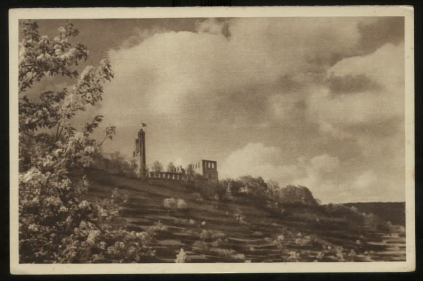 WW II Postkarte WHW 1934 / 35 , Bild 125 , Klosterruine Limburg Bei Bad Dürkheim: Ungebraucht. - Briefe U. Dokumente