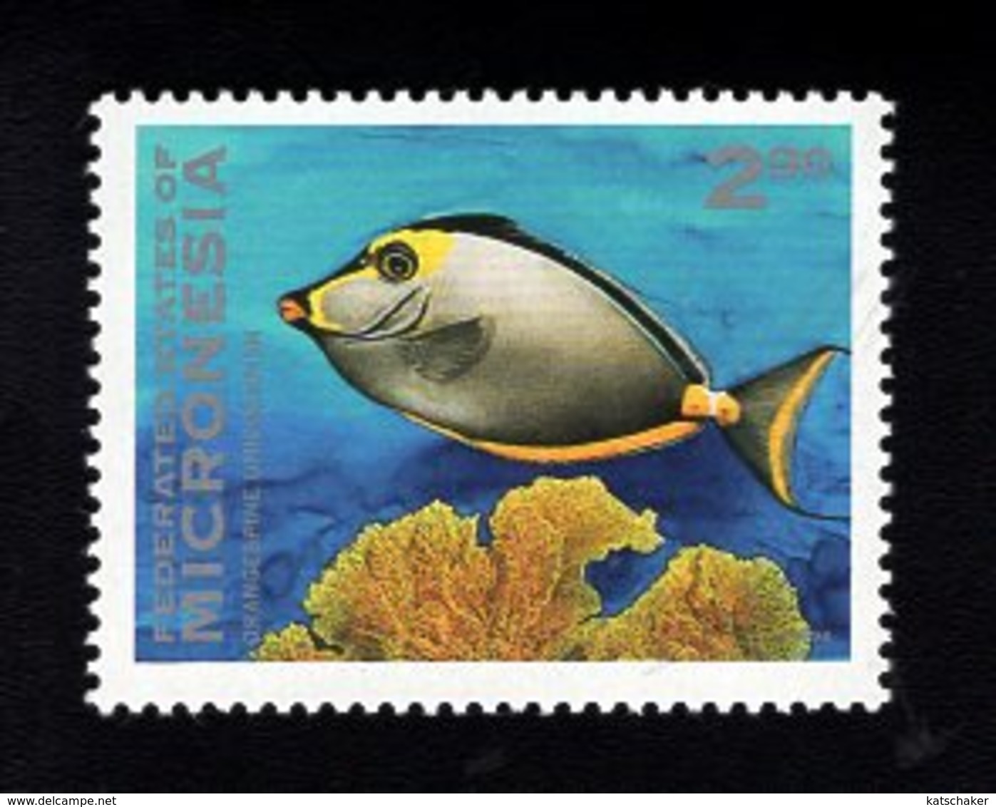 703453441 MICRONESIA POSTFRIS MINT NEVER HINGED POSTFRISCH EINWANDFREI  SCOTT 167 FISH - Micronésie