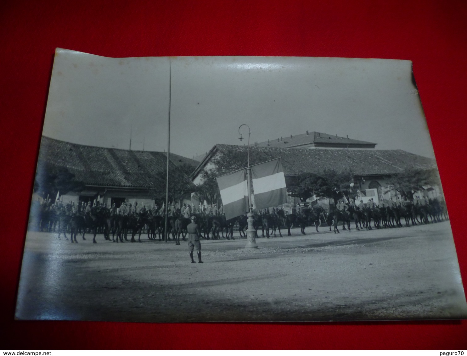 Lotto 6 Fotografie Manifestazione Militare Carabinieri Cav. Rocco Cisari Milano Lombardia - Guerra, Militari