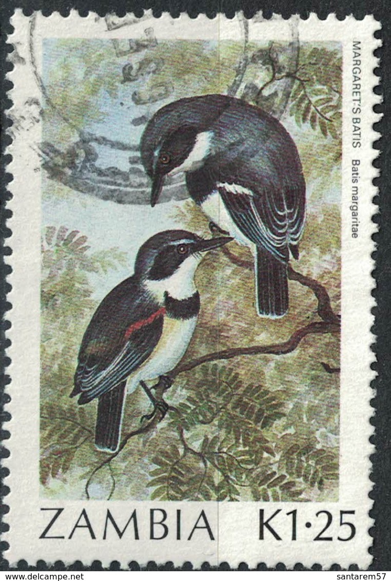 Zambie 1987 Oblitéré Used Oiseau Batis Margaritae - Zambie (1965-...)