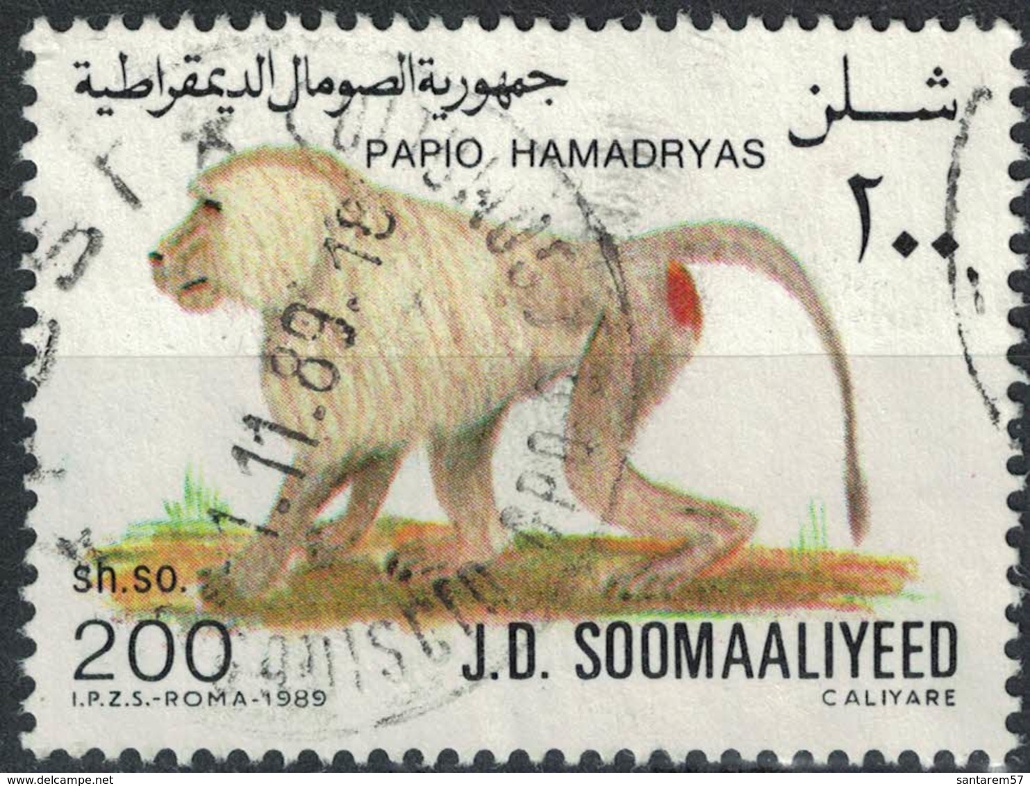 Somalie 1989 Oblitéré Used Animal Primate Papio Hamadryas Babouin Singe - Somalie (1960-...)