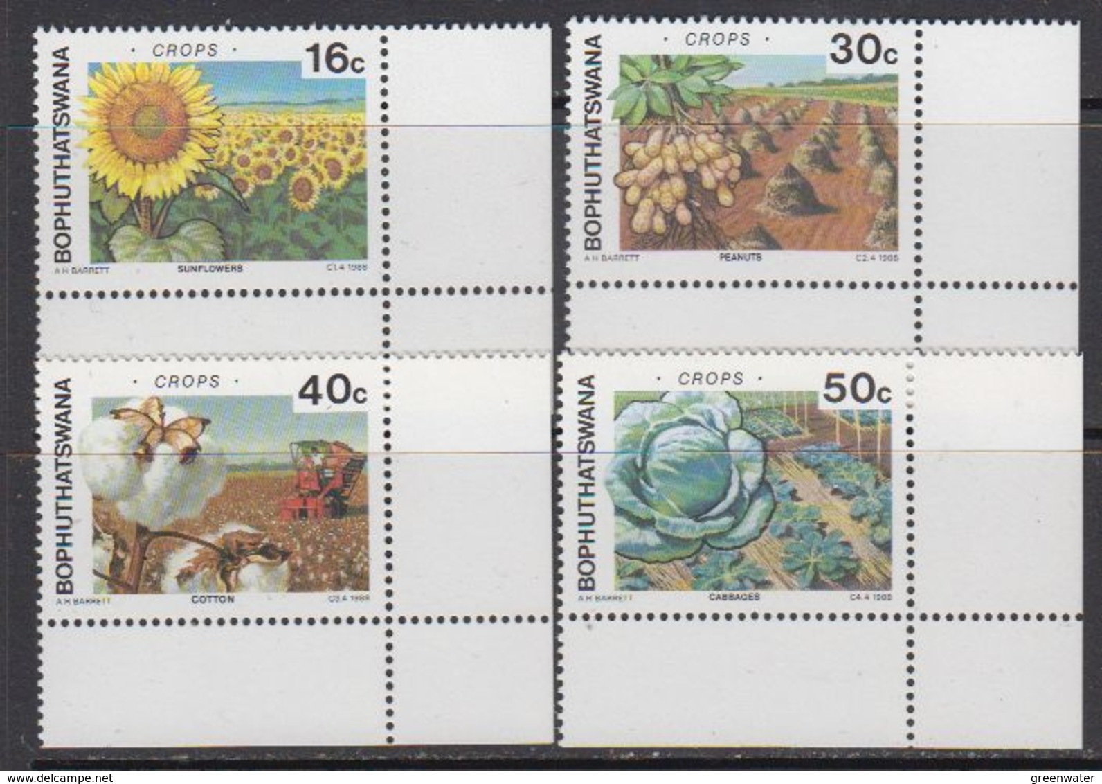 Bophuthatswana 1988 Agricultural Crops 4v (corners) ** Mnh (41695) - Bophuthatswana