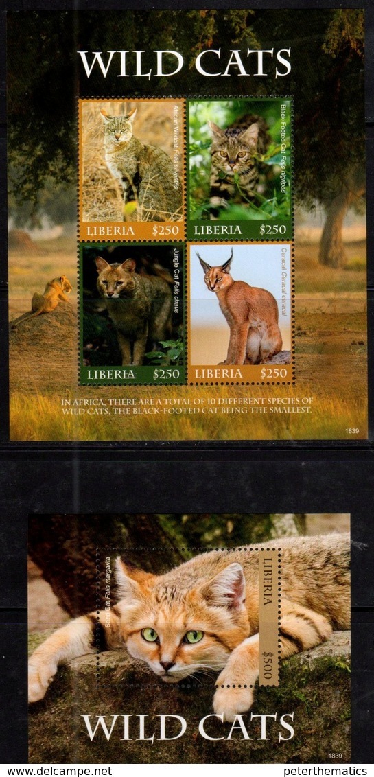 LIBERIA, 2018, MNH,FELINES, WILD CATS, SHEETLET +S/SHEET , HIGH FV - Raubkatzen