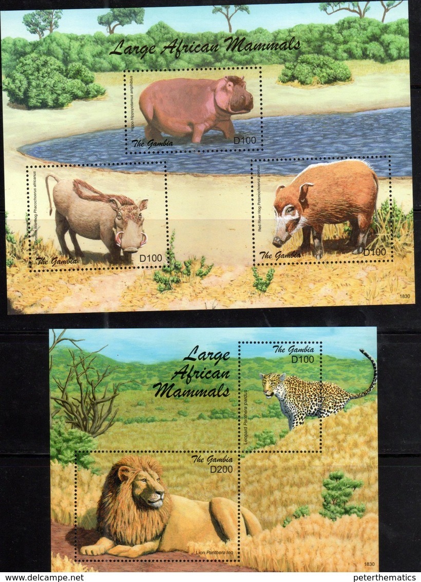 GAMBIA, 2018, MNH, LARGE AFRICAN MAMMALS, LIONS, LEOPARDS, HIPPOS, WARTHOGS,  SHEETLET+ S/SHEET, HIGH FV - Big Cats (cats Of Prey)