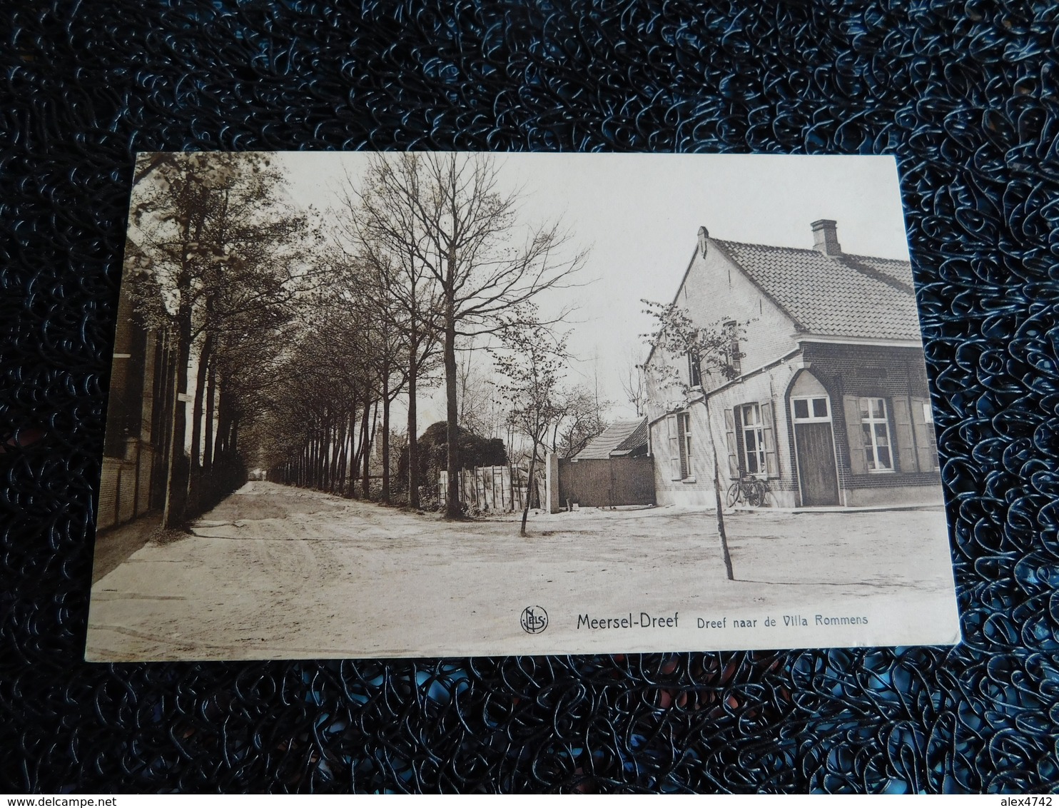 Meersel-Dreef, Dreef Naar De Villa Rommens  (T6) - Hoogstraten