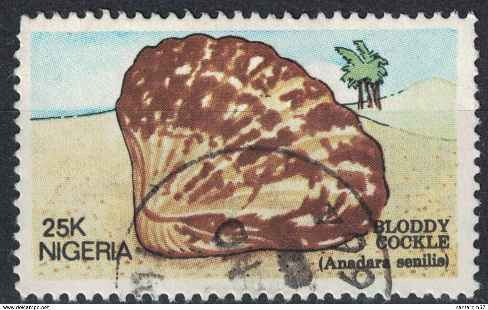 Nigeria 1987 Oblitéré Used Anadara Senilis Mollusque Bivalve Senilia Senilis - Nigeria (1961-...)