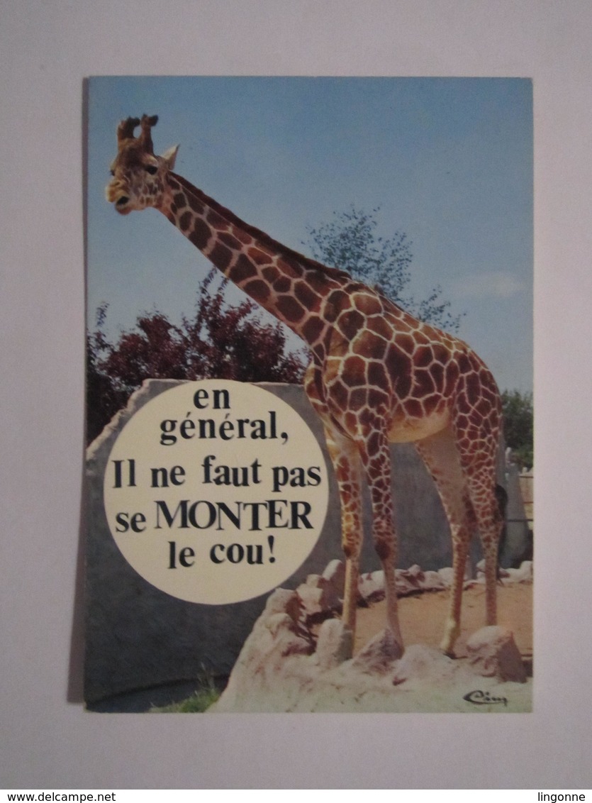 EN GÉNÉRAL, IL NE FAUT PAS SE MONTER LE COU !  (GIRAFE) - Girafes