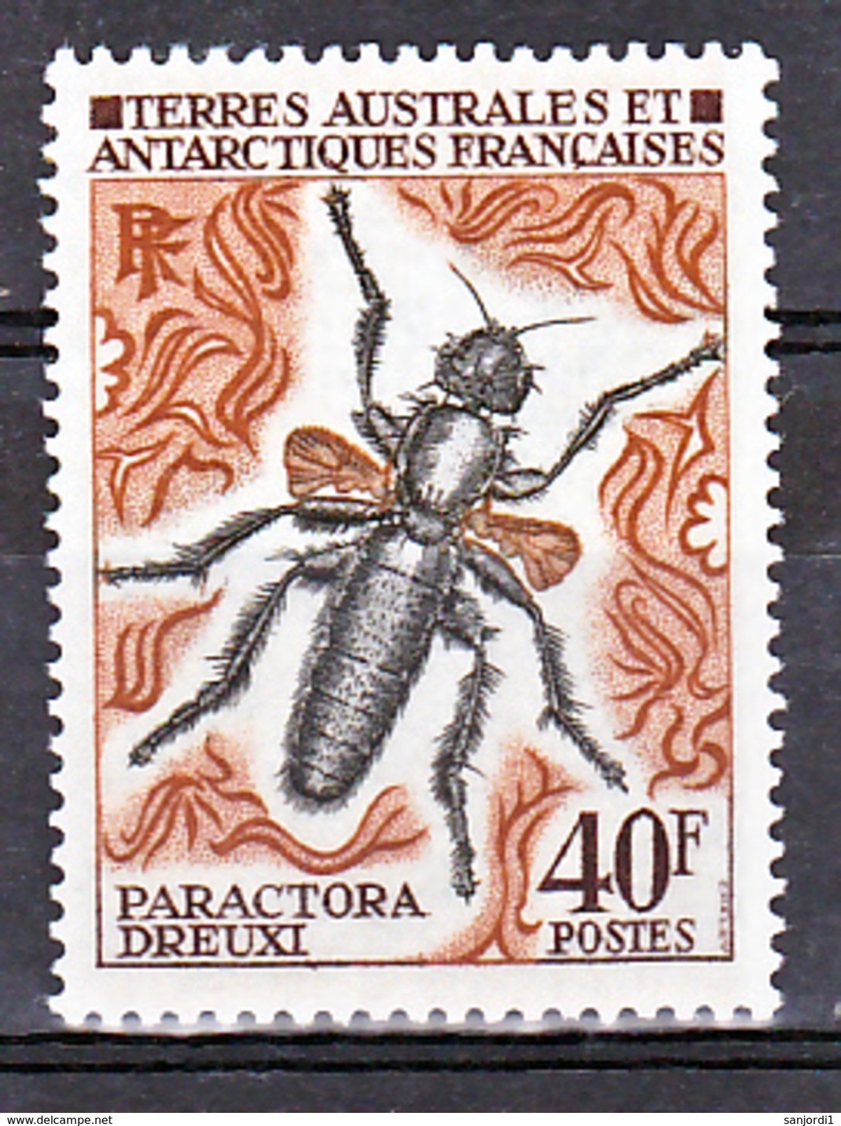 TAAF    41  Insecte 25% De Cote   Neuf ** MNH Sin Charmela Cote 12 - Nuovi