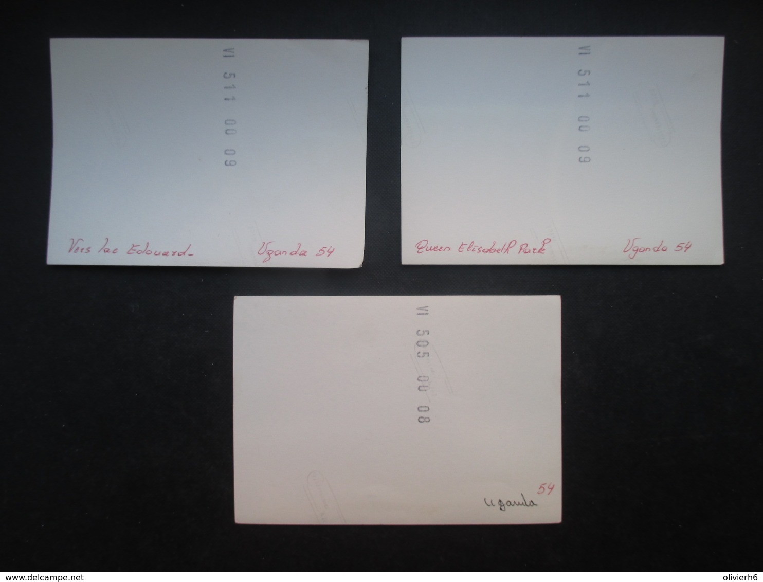 LOT 3 PHOTOS OUGANDA (M1903) QUEEN ELISABETH PARK (2 Vues) 1954 - Africa