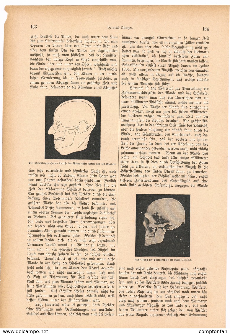 113 Friedrich Schilller S Schädel 1 Artikel Mit 2 Bildern Von 1886 !! - Sonstige & Ohne Zuordnung