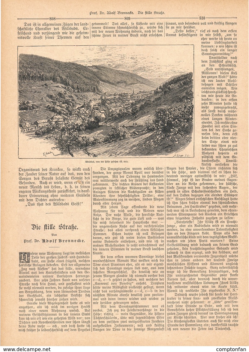 A102 122 - Wildbad Schwarzwald 1 Artikel Mit Ca. 11 Bildern Von 1890 !! - Sonstige & Ohne Zuordnung