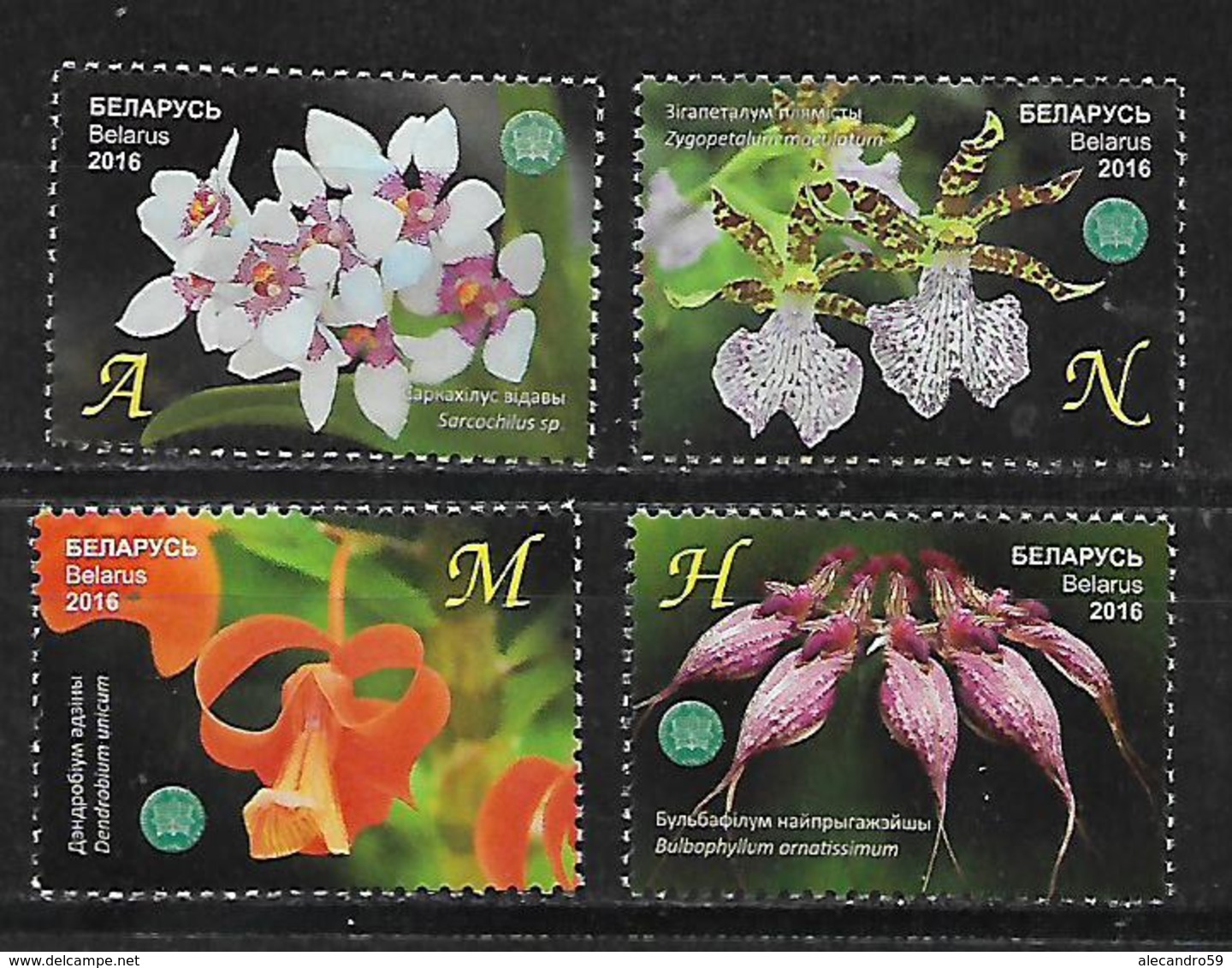 Belarus 2016 Orchids - The Central Botanical Garden Of NAS   MNH - Belarus