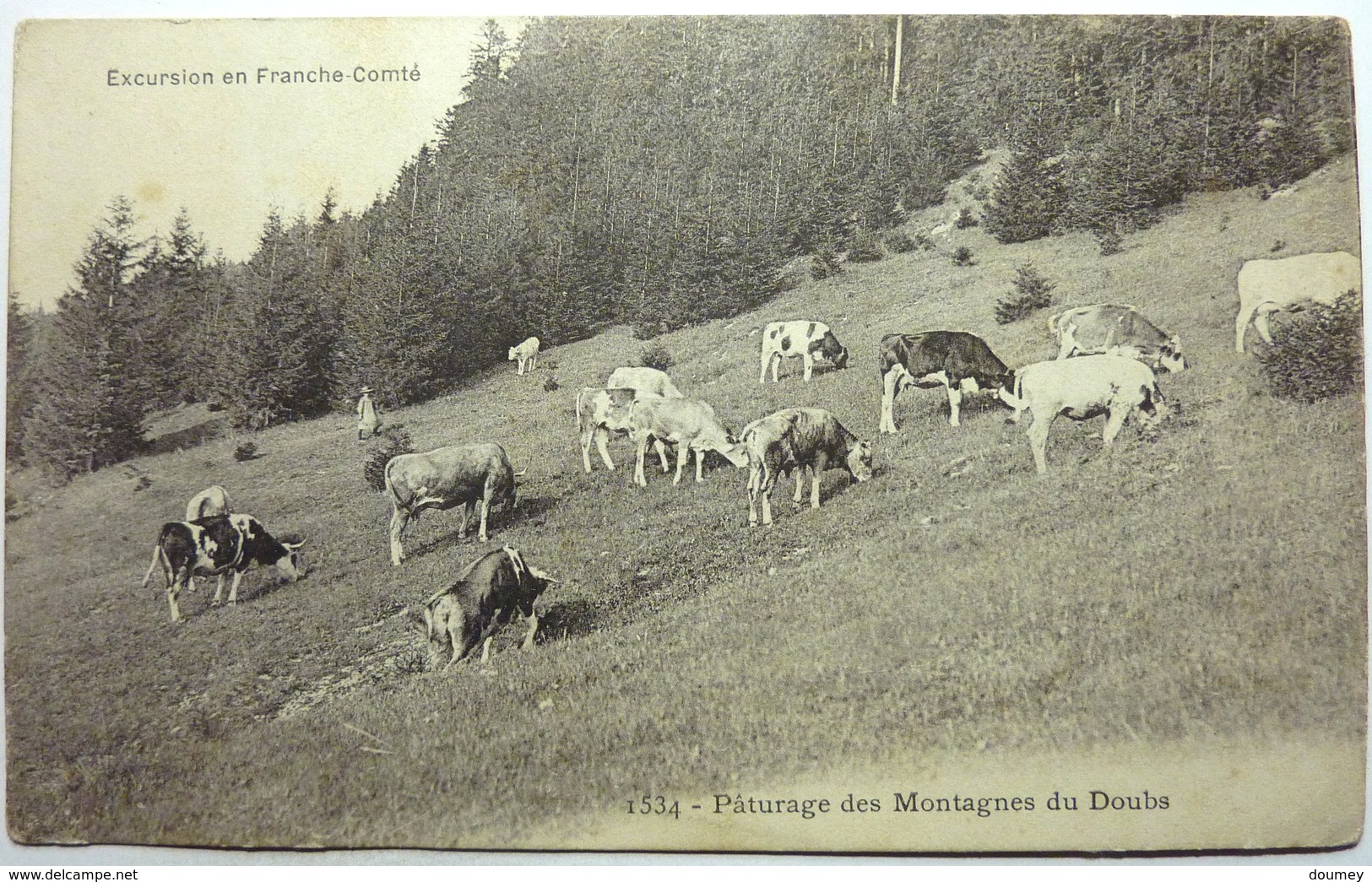 PÂTURAGES DES MONTAGNES DU DOUBS - EXCURSION EN FRANCHE-COMTÉ - Franche-Comté