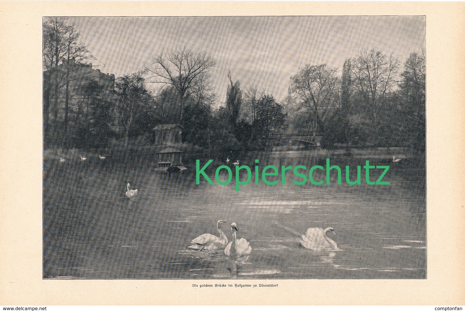 A102 132 Düsseldorf Am Rhein  1 Artikel Mit Ca. 10 Bildern Von 1902 !! - Sonstige & Ohne Zuordnung