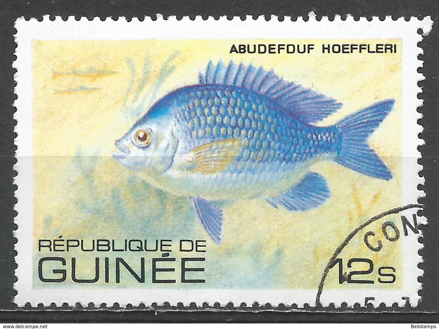 Guinea 1980. Scott #805 (U) Abudefuf Hoeffleri, Fish * - Guinée (1958-...)