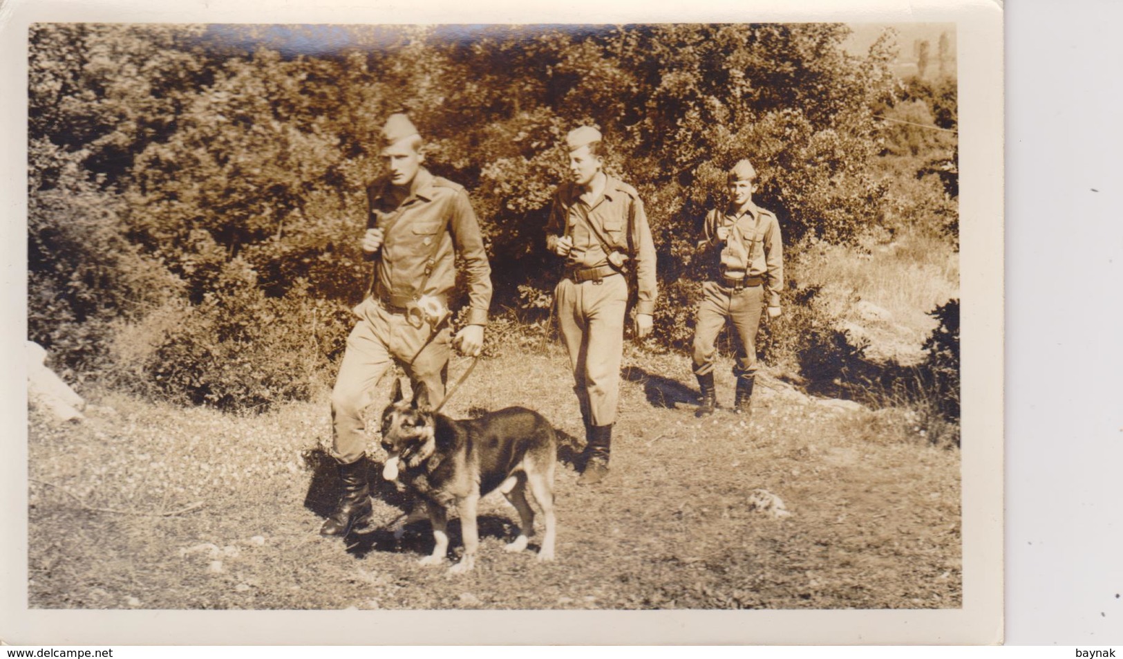 YUGOSLAVIA   --  BORDER UNITS WITH DOG - Sonstige & Ohne Zuordnung