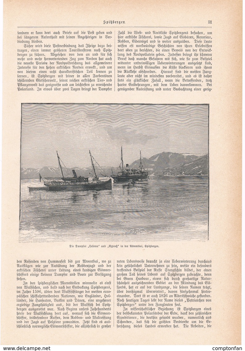 141 Spitzbergen 1 Artikel Mit 4 Bildern Von 1897 !! - Historische Dokumente