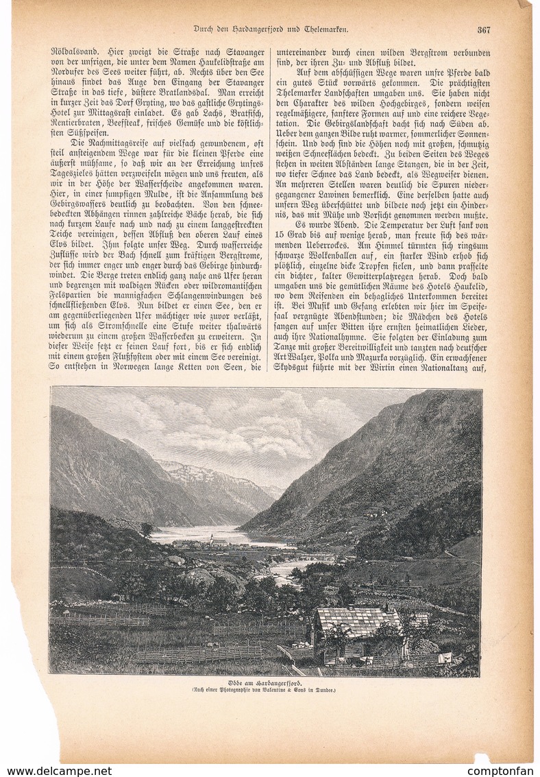 142 Norwegen Hardangerfjord 1 Artikel Mit 8 Bildern Von 1894 !! - Other & Unclassified
