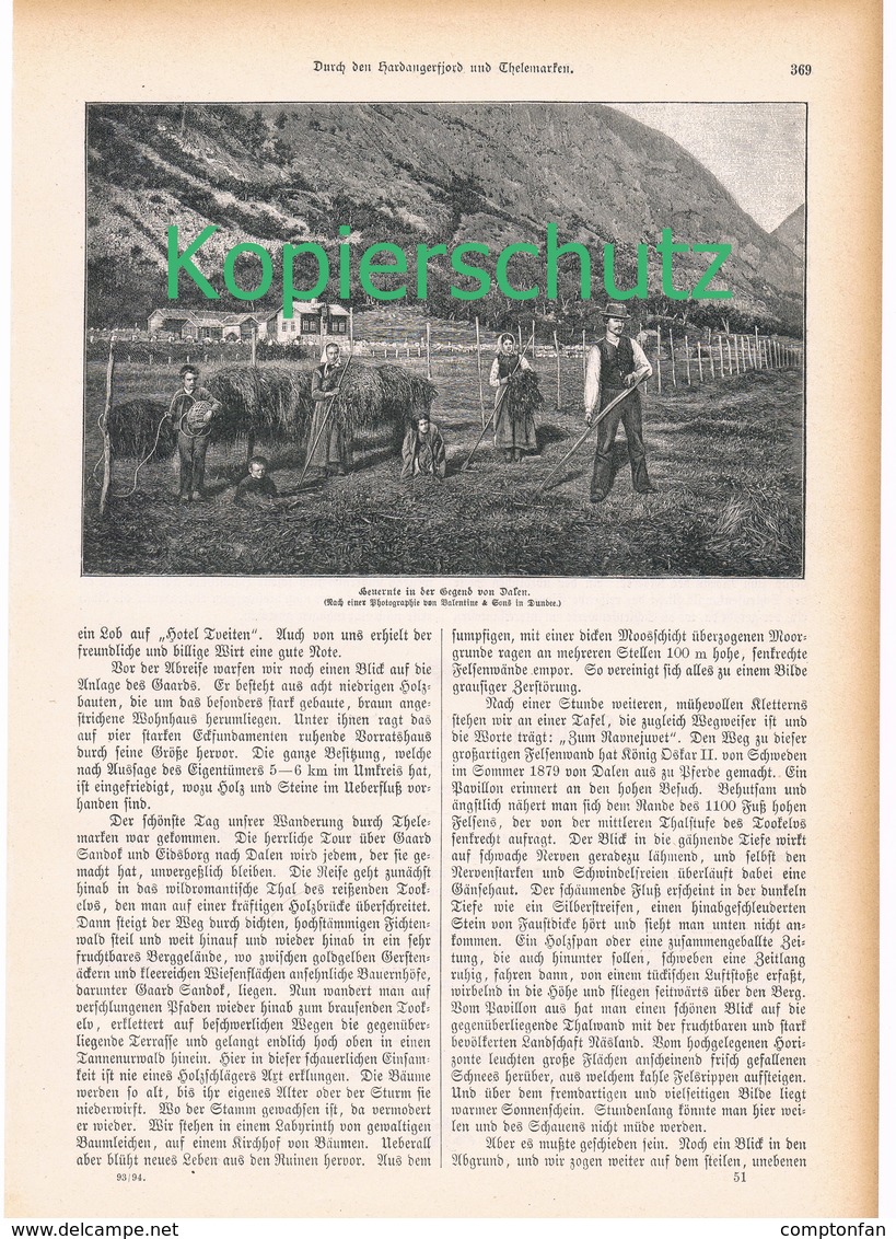 142 Norwegen Hardangerfjord 1 Artikel Mit 8 Bildern Von 1894 !! - Sonstige & Ohne Zuordnung