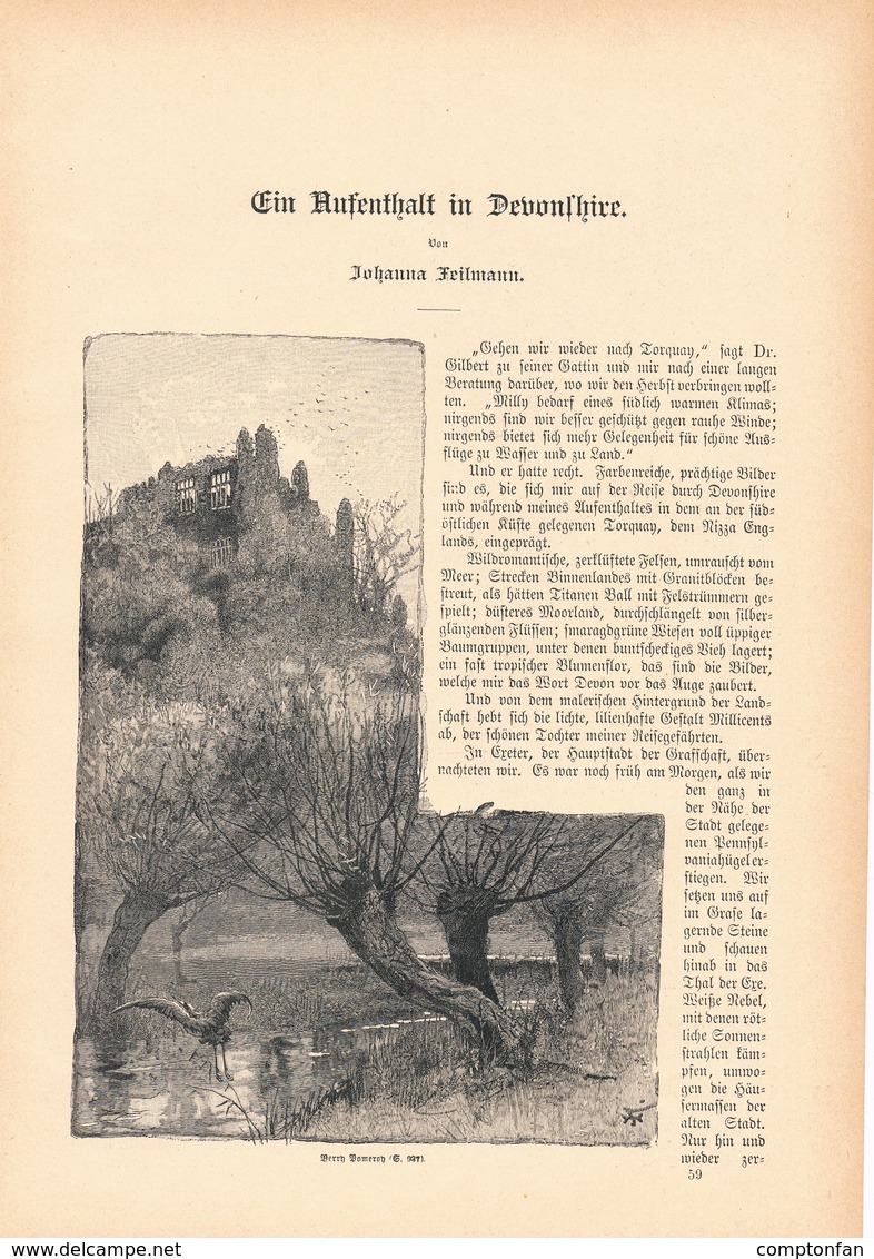 A102 144 England Devon Exeter Devonshire 1 Artikel Mit 10 Bildern Von 1886 !! - Sonstige & Ohne Zuordnung